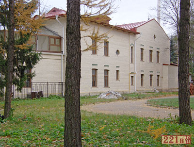 дом Мельникова
