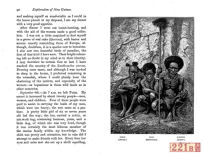 книга Новая Гвинея